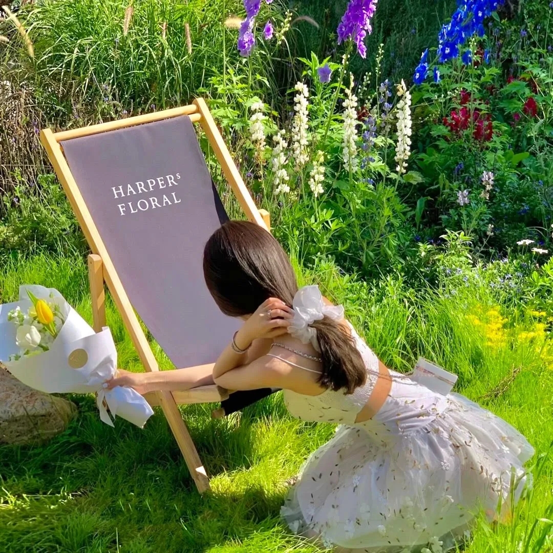 电线杆小子大冒险